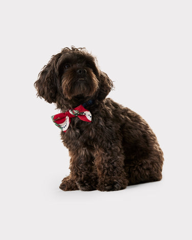 Christmas Tree & Wreath Stripe Print Dog Bow Tie